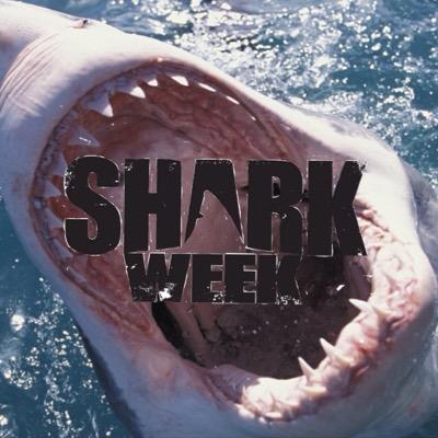 sharkweek2015's profile picture. Shark Week 2015 | From Discovery brings you Shark Week
