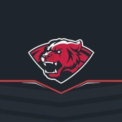 Mid laner for the League of Legends team WiLD! No lvl 2 ganks pls