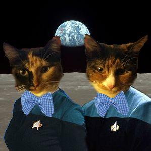 Autumn2Alex's profile picture. We were adopted by Simba_the_queen's mom but we were actually sent by Simba to watch her mom!