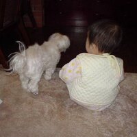 Yoshii (@yoshi_100) Twitter profile photo