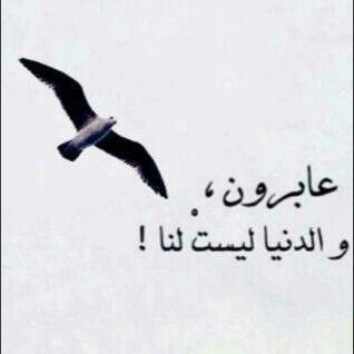خواطر - صور - رتويت للميزين فقط بكتباتهم

تابعني - أتابعك -