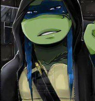 he guys i got one of these cause mikey mad me so im leonardo but you can call me leo
