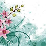 Venta de productos natura, ofertas o directo del catalogo virtual. Contactanos para cualquier duda, email:emporiomaru@gmail.com