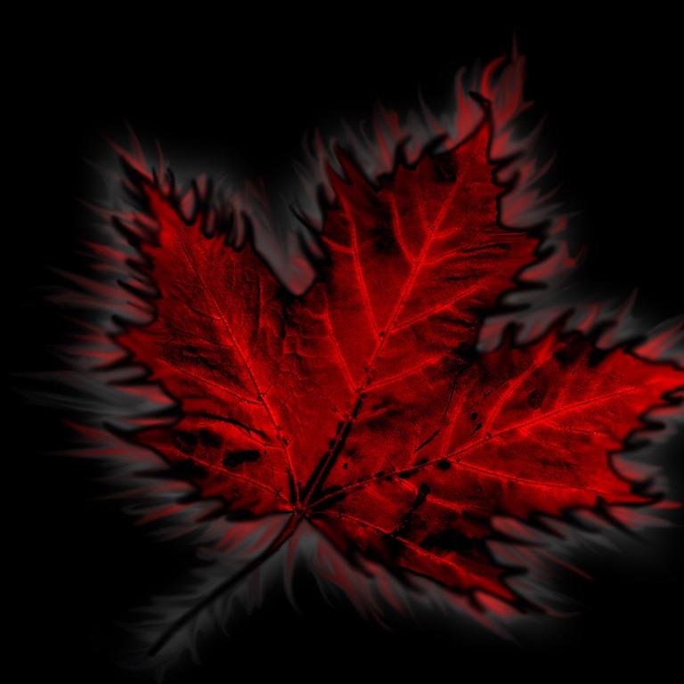 kfed76's profile picture. Proud Canadian.  True North Strong and Free
