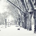 River El Mas Grande - @RicardoLUJAN7 - Twitter