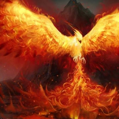 ChampNohack's profile picture. 