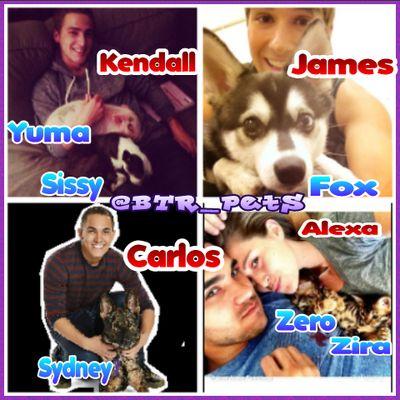 We are the pets from Big Time Rush: Sissy, Yuma, Fox, Zero, Zira, Sydney are here :D We follow our fans back❤