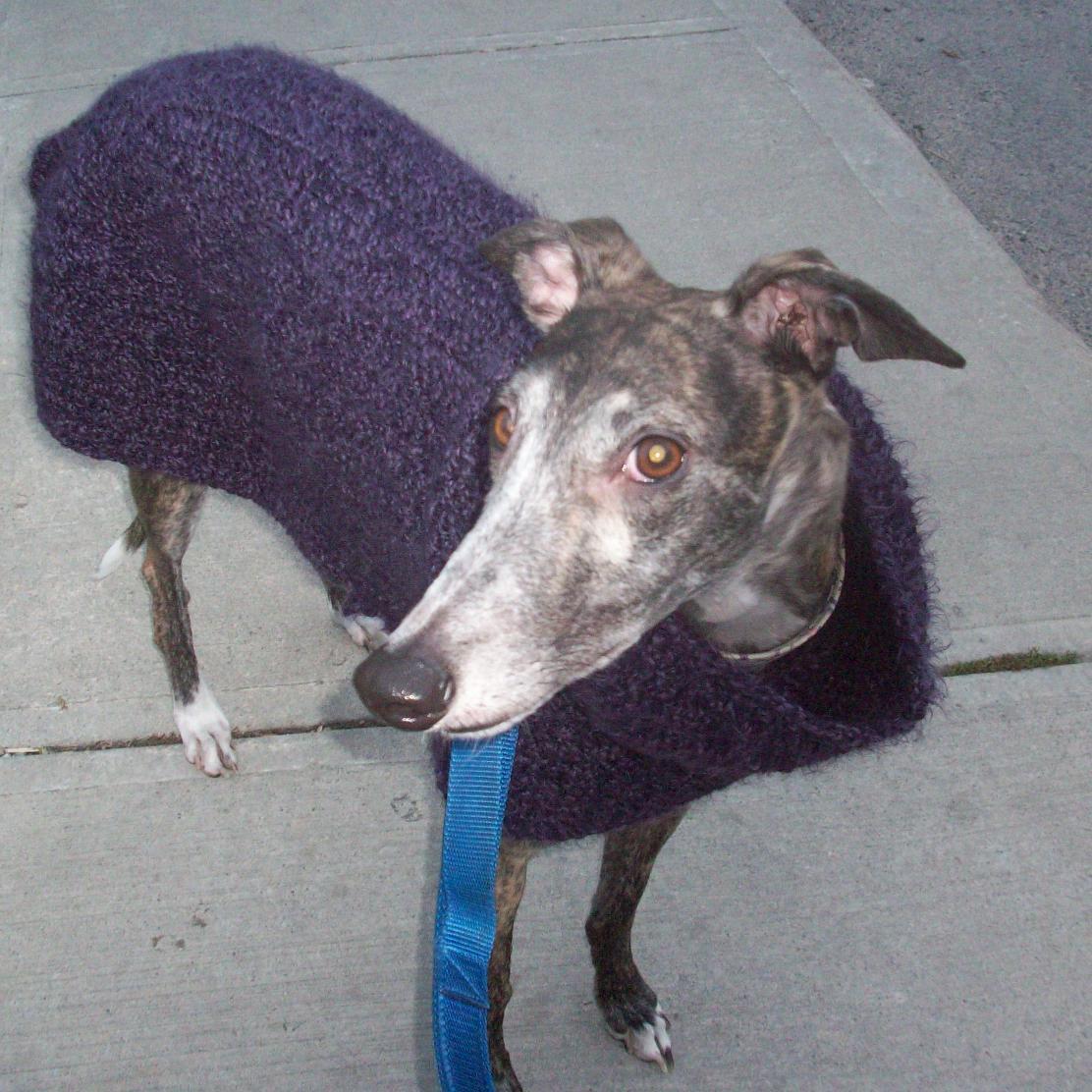 Greyt_K's profile picture. 