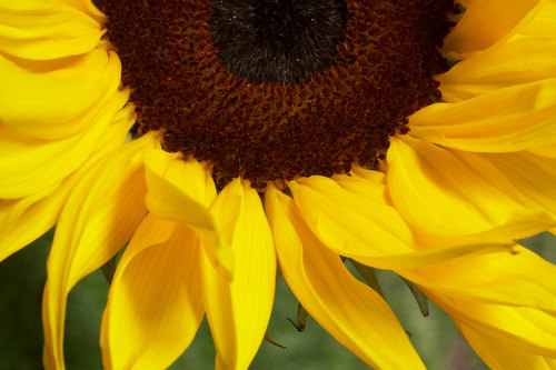 ToddSmithPhoto's profile picture. photographer