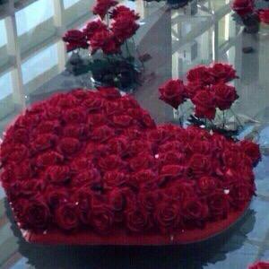 شــراايـٌــط تــبــددع لتتـميـزـزـزي 