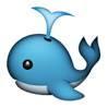 I am from the wo whale wild