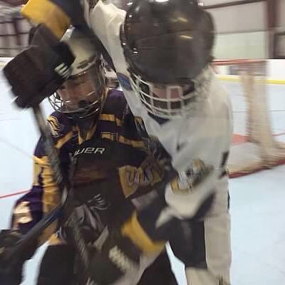 Twitter Home Of Plum Inline Hockey.