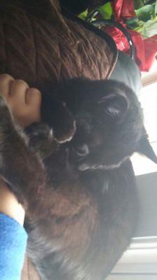 16reyesg's profile picture. 