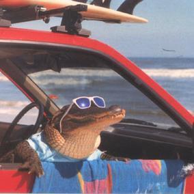 kristoferrrrr's profile picture. Hella Hella Lame Lame