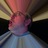 whcoyne's profile image