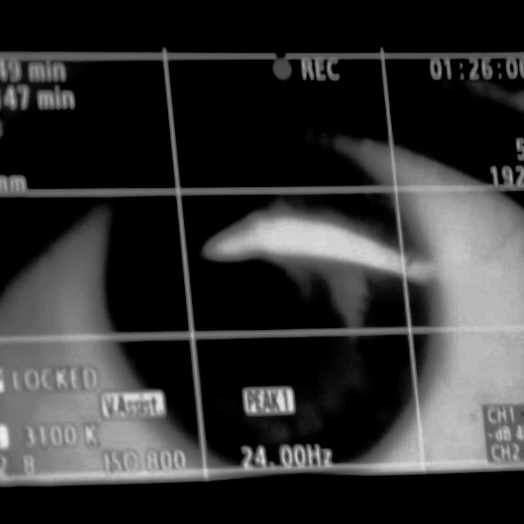 - a Sci-Fi // Art House Movie