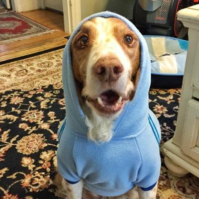 glennlivermore's profile picture. My wife April and I shoot amazing weddings and portraits for amazing people Boston and beyond! Beer drinking vegan Masshole Pats fan. I love you. Ⓥ