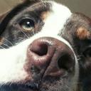 FRANCESCA PARDINI - @frafrance1974 - Twitter