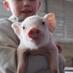 Anthony Stateler (@statelerffarms) Twitter profile photo Anthony Stateler (@statelerffarms) Twitter profile photo