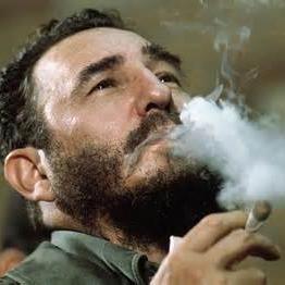 CastingFiddles's profile picture. 