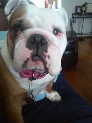 KaylaLitrleboyb's profile picture. please follow back,thanks☺