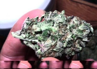 cagedraven421's profile picture. 