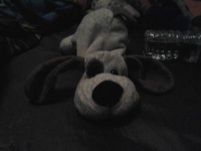 vinnydasch's profile picture. 