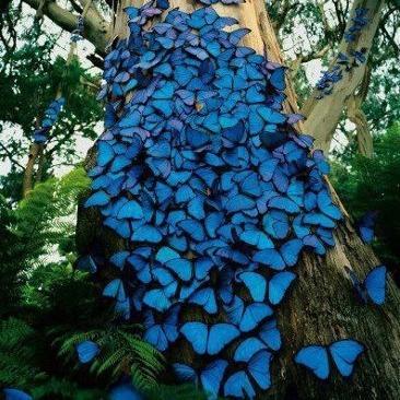 Book_Whore1's profile picture. 