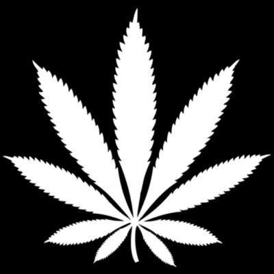 So I guess I'll smoke ✈ // Merch coming soon
