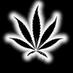 Cannabis Movement (@cannabis_move) Twitter profile photo Cannabis Movement (@cannabis_move) Twitter profile photo