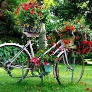 ♋  crazy -  @CarlaCampra is great
✪ Napoleón no estaba loco iba en bicicleta ✪