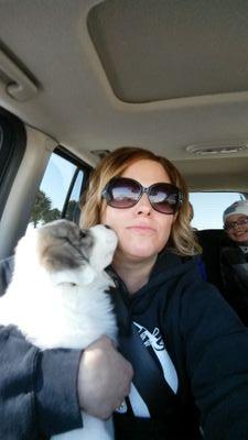 amyjobartlett's profile picture. 