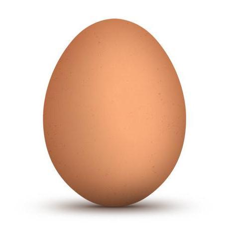 AnimalVegan Profile Picture