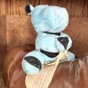 Paul Windsor-horne - @eb52138958934e6 - Twitter