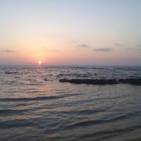 GiladY (@giladyef) 's Twitter Profile