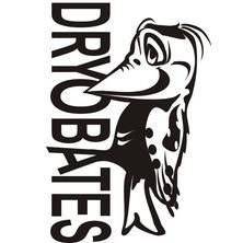dryobates Profile Picture