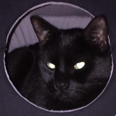 JimisaCat's profile picture. Psychopath