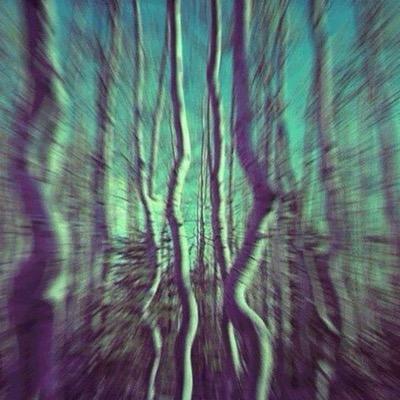 trippē // }welcome to wonderland{
