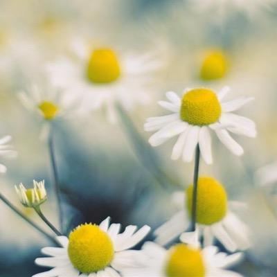 nathalie_eydorf's profile picture. Ist mir egal, ich lass das jetzt so.