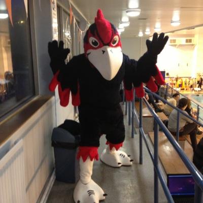 I am Storm the Seahawk, official mascot of Thanet Swim Club. One of Kents leading swimming clubs sponsored by TYR