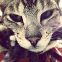 Amy doyle - @AmyShellBelle - Twitter