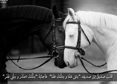 ‏ورحلتْ قطعةٌ من قلبي الى ربي  ..
 ‏‏:)‏☆☆لأجلك ميلاد_#غيمة_طهر☁