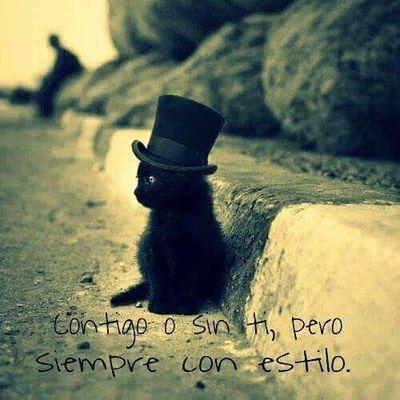 amo a #marcoferri