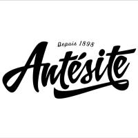 Antésite (@antesite) 's Twitter Profile