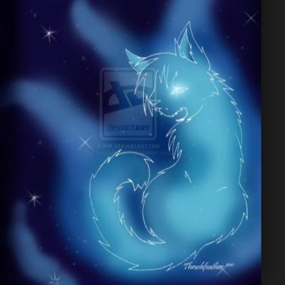 hello there young one im seafur of moonclan welcome to starclan i was a medicen cat starclan has many things to tell you -27 moons old-