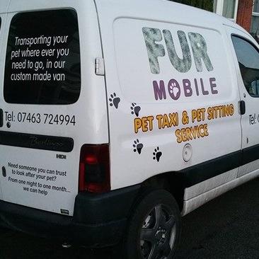 Pet Taxi & Pet Sitting Service. Follow for: our latest offers & all the animal pictures we can find!