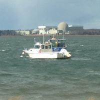 Paul Gunter (@beyondnuclear2) 's Twitter Profile