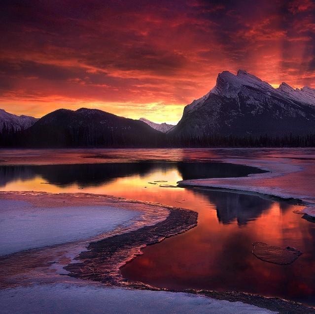 AmyNitchals's profile picture. 