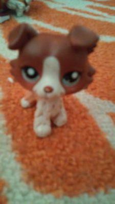 Sup im Carter and i love lps