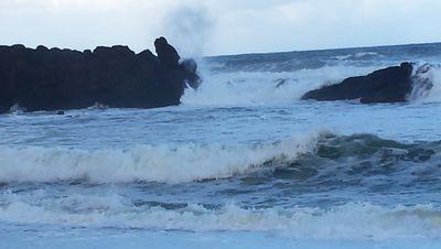 joos1831's profile picture. 